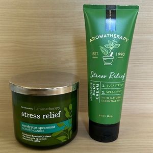 Bath and Body Works Aromatherapy Eucalyptus Spearmint Bundle